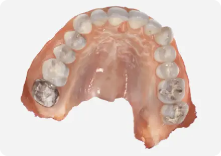 Cavidad oral realista